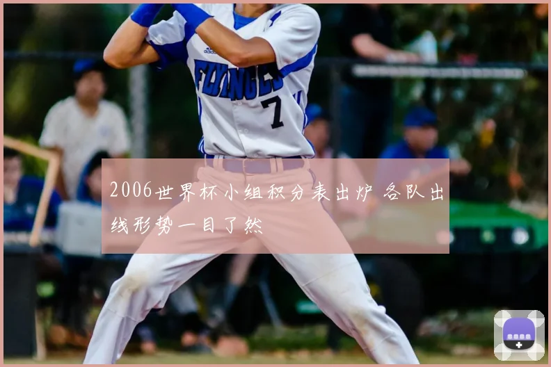 2006世界杯小组积分表出炉 各队出线形势一目了然
